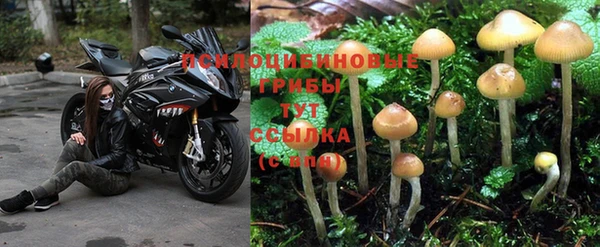 скорость Балабаново