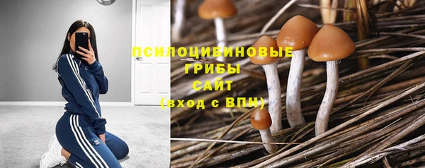 прущие крисы Балахна