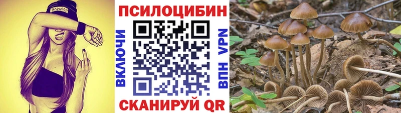 даркнет сайт  Славгород  Псилоцибиновые грибы прущие грибы 